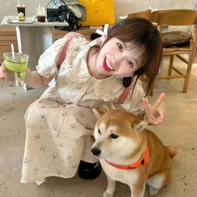 万花迎春